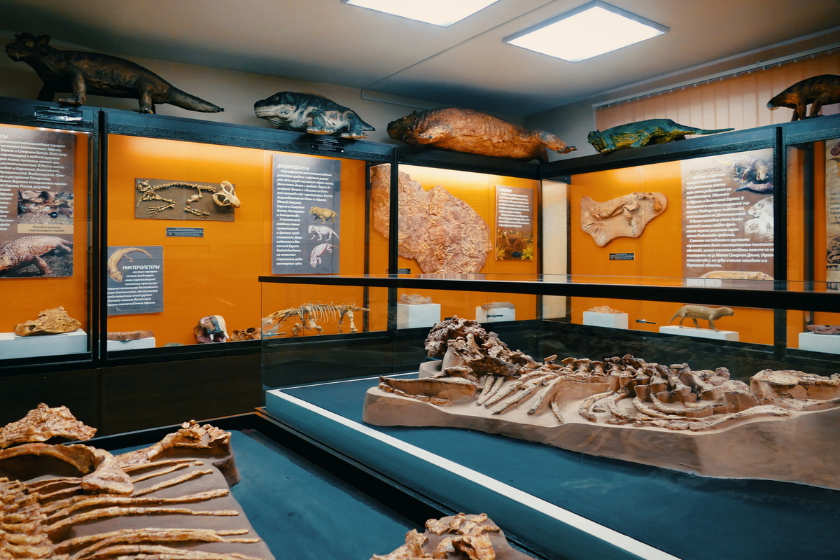  Котельничский палеонтологический музей